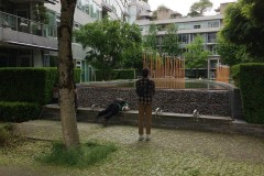 A solo person in tan pants and a long sleeve shirt stands with their back to the camera. They are facing an infinity pool landcaping feature surounded by trimmed hedges and a low rise condo building. Someone lies face down on a bench that lines the front of the infinity pool.